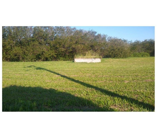 disponivel-rio-de-condicoes-especiais-r-4500000-r-4500000-condicao-especial-big-0