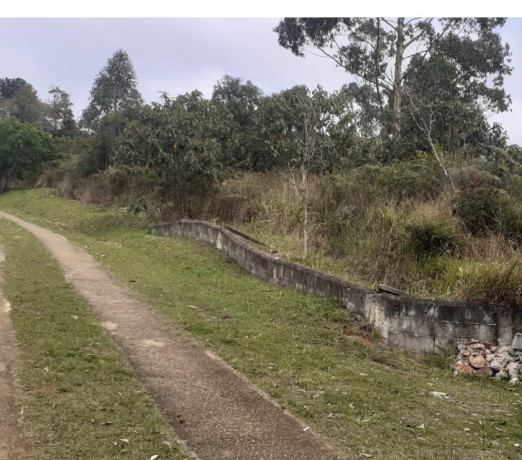 terreno-8200-m2-em-cotia-valor-abaixo-do-mercad-melhor-oferta-sao-paulo-r-55000000-r-55000000-oportunidade-unica-big-0