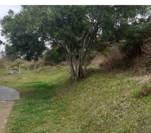 terreno-8200-m2-em-cotia-valor-abaixo-do-mercad-melhor-oferta-sao-paulo-r-55000000-r-55000000-oportunidade-unica-big-4