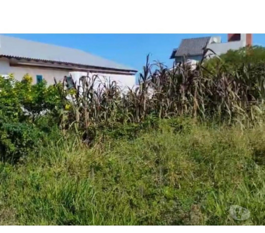 novidade-em-rio-grande-area-nobre-privilegiada-r-3300-r-3300-big-1