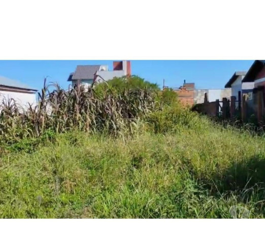 novidade-em-rio-grande-area-nobre-privilegiada-r-3300-r-3300-big-4