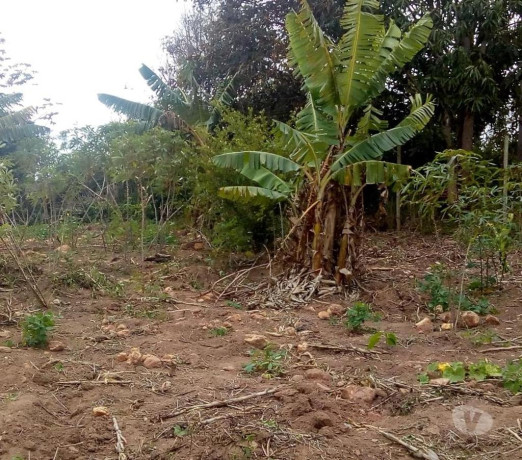 disponivel-rio-de-condicoes-especiais-garantia-big-4