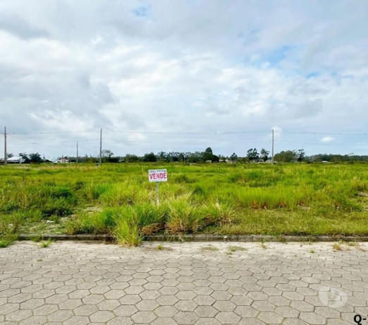 em-santa-catarinajaguaruna-conservado-em-santa-catarinajaguaruna-big-2