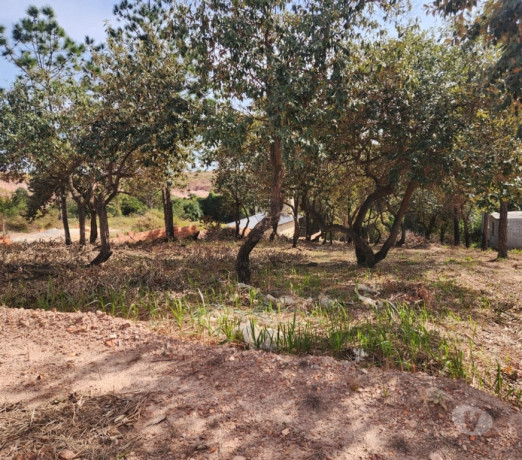 terreno-venda-1000m2-em-condominio-ja-pronto-alum-premium-em-sao-paulo-r-200000-r-200000-big-1