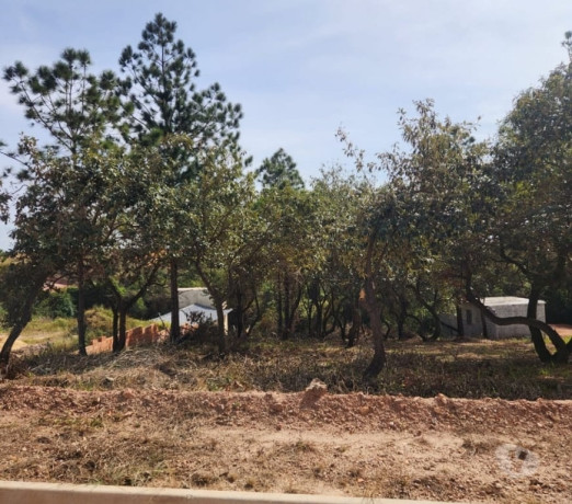 terreno-venda-1000m2-em-condominio-ja-pronto-alum-premium-em-sao-paulo-r-200000-r-200000-big-2