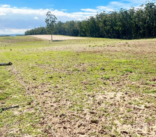 excelente-em-santa-catarinajaguaruna-otima-oportunidade-em-santa-catarinajaguaruna-condicao-especial-big-0