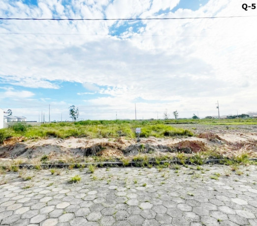 em-santa-catarinajaguaruna-conservado-em-santa-catarinajaguaruna-big-3