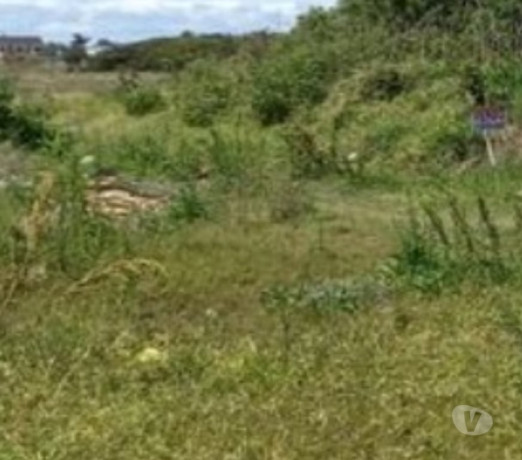 em-santa-catarinapalhoca-conservado-r-38500000-em-santa-catarinapalhoca-r-38500000-condicao-especial-big-2