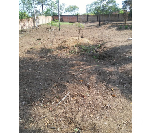 disponivel-amazonasmanaus-condicoes-especiais-r-3000001-em-amazonasmanaus-r-3000001-condicao-especial-big-4