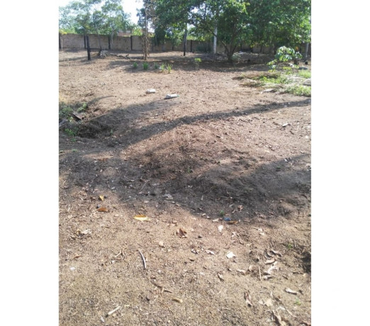 disponivel-amazonasmanaus-condicoes-especiais-r-3000001-em-amazonasmanaus-r-3000001-condicao-especial-big-1