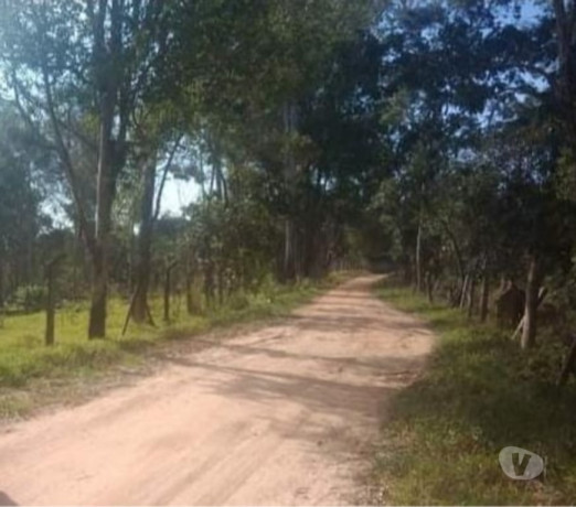 terreno-5000m2-posicao-privilegiada-privilegiada-campo-limp-sao-paulo-oportunidade-unica-r-20000000-r-20000000-negociavel-big-0