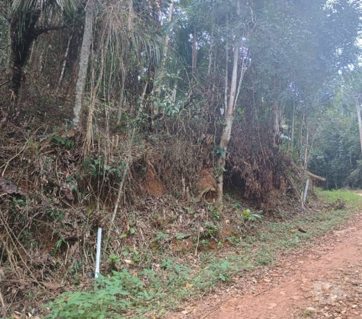 oportunidade-unica-em-paraty-terreno-com-valor-in-melhor-oferta-rio-de-r-1190000-r-1190000-garantia-big-1