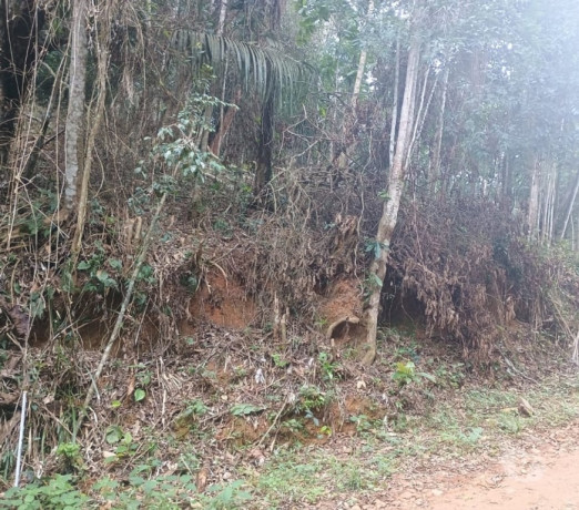 oportunidade-unica-em-paraty-terreno-com-valor-in-melhor-oferta-rio-de-r-1190000-r-1190000-garantia-big-3