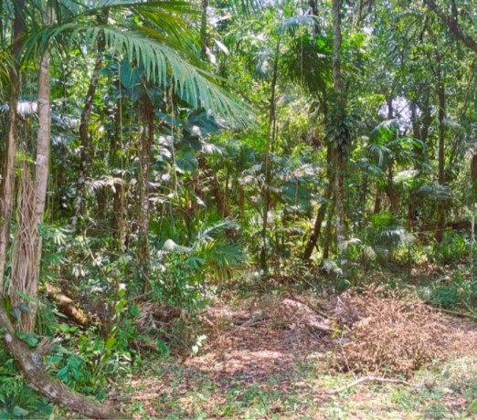 oportunidade-em-sao-paulo-conservado-r-14500000-r-14500000-garantia-big-2