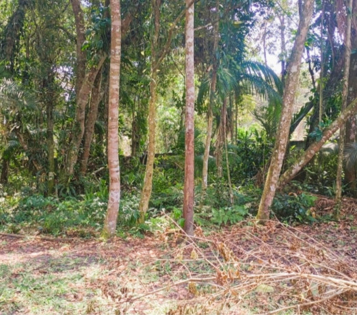 oportunidade-em-sao-paulo-conservado-r-14500000-r-14500000-garantia-big-1