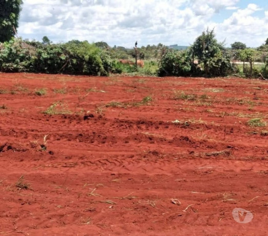 oportunidade-em-minas-geraispiumhi-conservado-em-minas-geraispiumhi-big-2