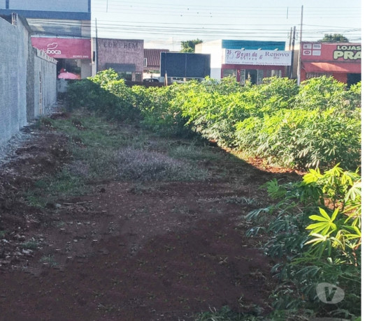 grande-terreno-comercial-na-vila-oliveira-em-rolan-melhor-oferta-paranarolandia-r-140000000-em-paranarolandia-r-140000000-negociavel-big-3