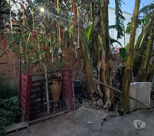 em-sao-paulo-conservado-oportunidade-unica-big-3