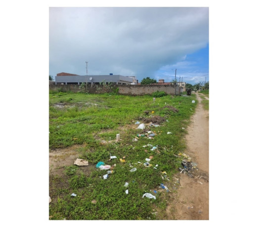 em-pernambucogoiana-conservado-em-pernambucogoiana-big-0