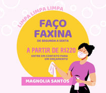 diarista-domestico-masculino-sao-paulo-sp-enco-de-alto-padrao-em-formas-de-pagamento-r-300-em-formas-de-pagamento-r-300-big-1
