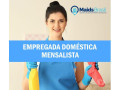 empregadas-domesticas-com-referencias-agencia-maid-melhor-oferta-sao-paulo-small-0