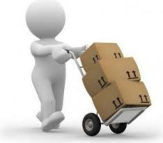 mudancas-residenciais-e-comerciais-barra-da-tijuca-de-qualidade-em-rio-de-garantia-big-0