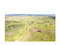 fazenda-em-jaru-2662-hectares-jaru-ro-chacar-de-qualidade-em-rondoniajaru-em-rondoniajaru-small-3
