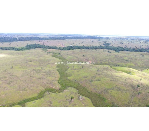fazenda-em-jaru-2662-hectares-jaru-ro-chacar-de-qualidade-em-rondoniajaru-em-rondoniajaru-big-2