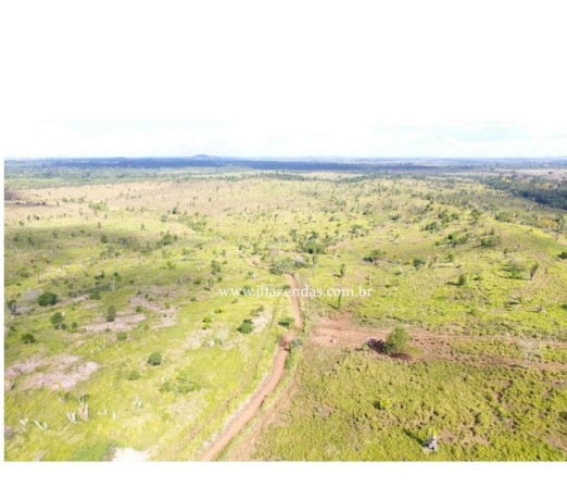 fazenda-em-jaru-2662-hectares-jaru-ro-chacar-de-qualidade-em-rondoniajaru-em-rondoniajaru-big-3