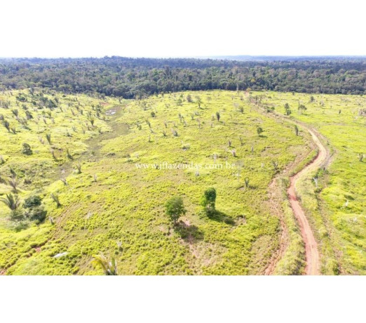 fazenda-em-jaru-2662-hectares-jaru-ro-chacar-de-qualidade-em-rondoniajaru-em-rondoniajaru-big-0