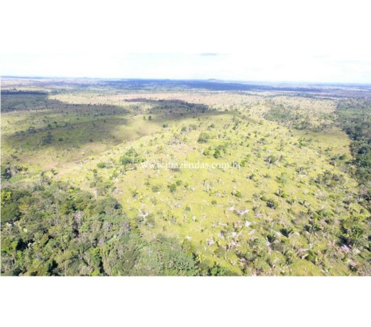 fazenda-em-jaru-2662-hectares-jaru-ro-chacar-de-qualidade-em-rondoniajaru-em-rondoniajaru-big-1