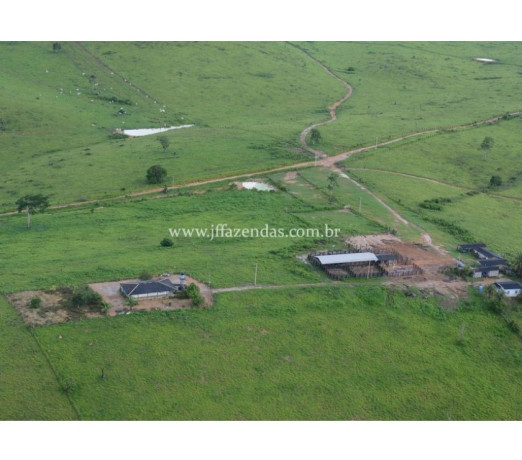 fazenda-em-uruara-uruara-pa-chacaras-e-sitios-a-de-qualidade-em-parauruara-r-1800000-em-parauruara-r-1800000-entrega-imediata-big-0