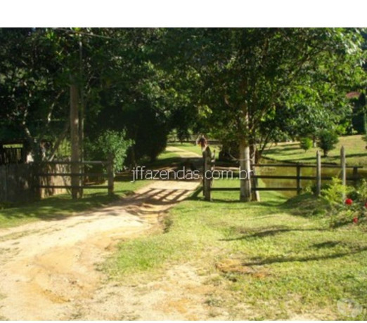 fazenda-em-belmiro-braga-mg-4598-ha-belmiro-bra-em-minas-geraisbelmiro-atendimento-personalizado-e-especializado-em-minas-geraisbelmiro-big-3