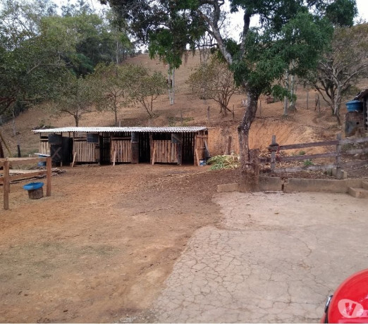 excelente-em-sao-paulo-otima-oportunidade-negociavel-big-3