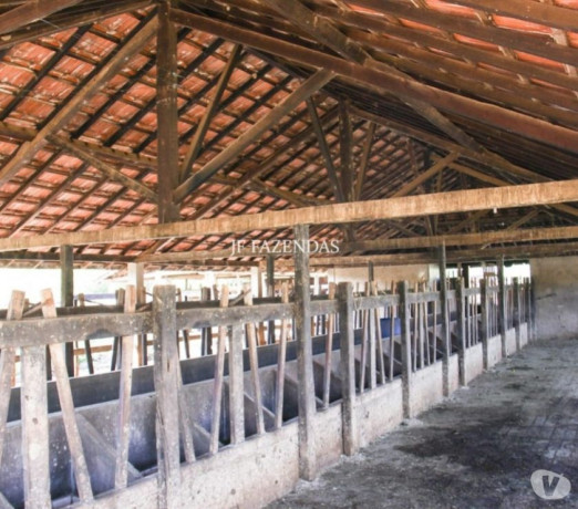 fazenda-em-rochedo-de-minas-mg-121-hectares-ro-em-minas-geraisrochedo-produtoservico-com-certificacao-de-qualidade-em-minas-geraisrochedo-garantia-big-4