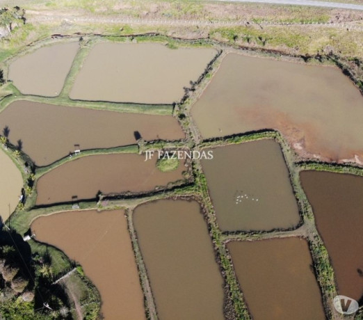 sitio-em-bicas-mg-65-hectares-bicas-mg-chaca-minas-geraisbicas-oportunidade-unica-em-minas-geraisbicas-big-2