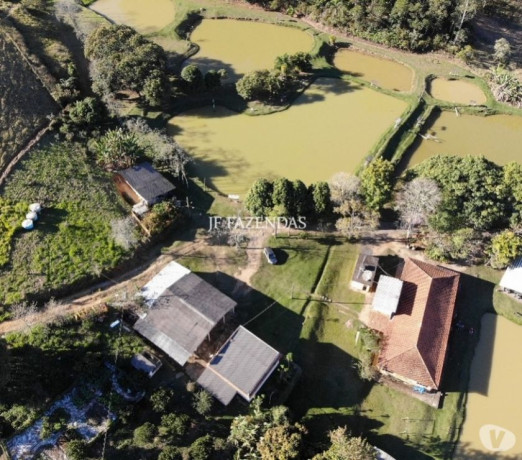 sitio-em-bicas-mg-65-hectares-bicas-mg-chaca-minas-geraisbicas-oportunidade-unica-em-minas-geraisbicas-big-4