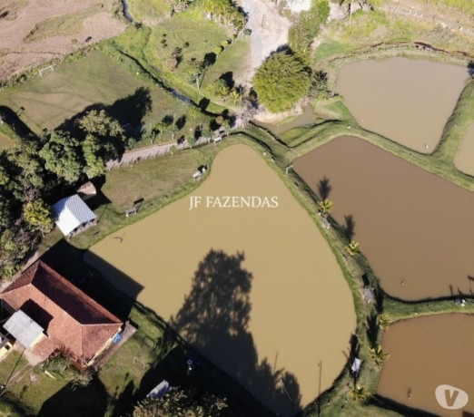 sitio-em-bicas-mg-65-hectares-bicas-mg-chaca-minas-geraisbicas-oportunidade-unica-em-minas-geraisbicas-big-3