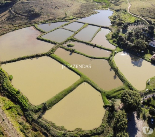 sitio-em-bicas-mg-65-hectares-bicas-mg-chaca-minas-geraisbicas-oportunidade-unica-em-minas-geraisbicas-big-0