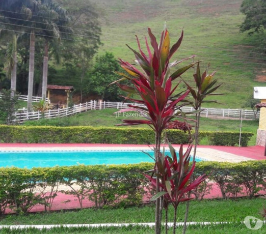 sitio-em-juiz-de-fora-mg-947-hectares-juiz-de-de-qualidade-em-minas-geraisjuiz-em-minas-geraisjuiz-entrega-imediata-big-1