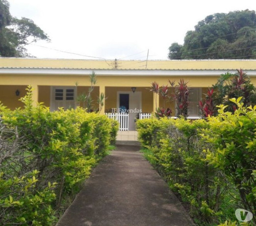 sitio-em-juiz-de-fora-mg-947-hectares-juiz-de-de-qualidade-em-minas-geraisjuiz-em-minas-geraisjuiz-entrega-imediata-big-4