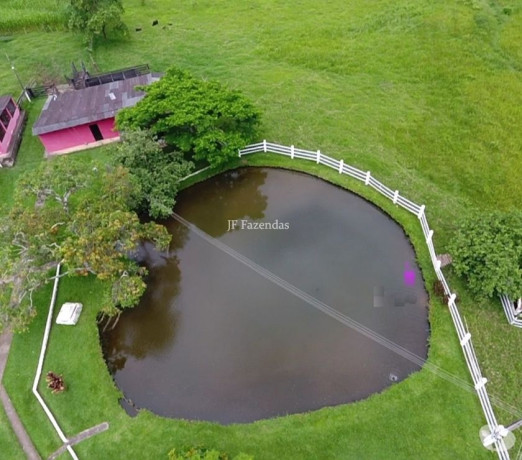 sitio-em-juiz-de-fora-mg-947-hectares-juiz-de-de-qualidade-em-minas-geraisjuiz-em-minas-geraisjuiz-entrega-imediata-big-2