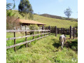 fazenda-em-mar-de-espanha-mg-98-hectares-mar-d-premium-em-minas-geraismar-em-minas-geraismar-entrega-imediata-small-4