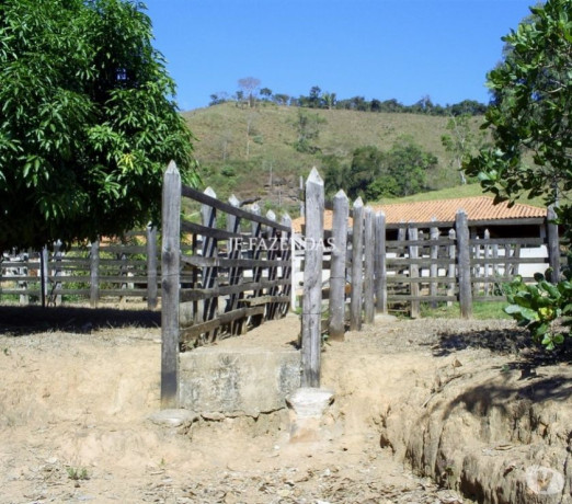 fazenda-em-mar-de-espanha-mg-98-hectares-mar-d-premium-em-minas-geraismar-em-minas-geraismar-entrega-imediata-big-3