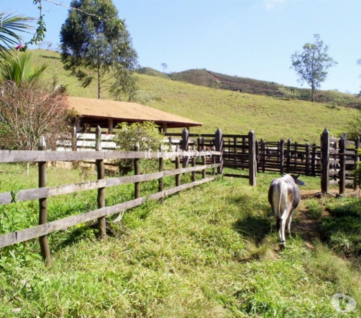 fazenda-em-mar-de-espanha-mg-98-hectares-mar-d-premium-em-minas-geraismar-em-minas-geraismar-entrega-imediata-big-4