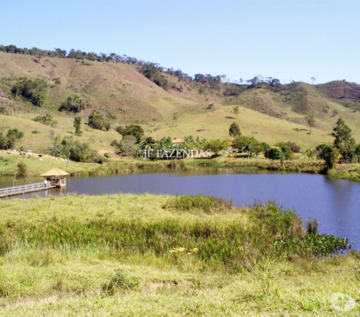 fazenda-em-mar-de-espanha-mg-98-hectares-mar-d-premium-em-minas-geraismar-em-minas-geraismar-entrega-imediata-big-2