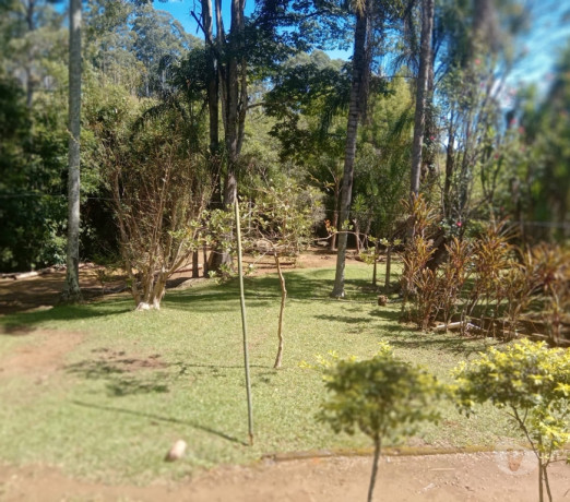 lindo-sitio-de-45270-hectares-em-lagoinha-sp-la-sao-paulo-oportunidade-unica-r-88000000-r-88000000-negociavel-big-1