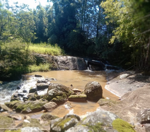 lindo-sitio-de-45270-hectares-em-lagoinha-sp-la-sao-paulo-oportunidade-unica-r-88000000-r-88000000-negociavel-big-0