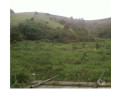 sitio-de-637-hectares-no-bairro-do-pinheirinho-ta-sao-paulo-oportunidade-unica-r-330000000-r-330000000-small-3