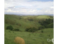 sitio-de-637-hectares-no-bairro-do-pinheirinho-ta-sao-paulo-oportunidade-unica-r-330000000-r-330000000-small-0